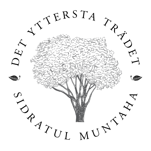 DYT Logo